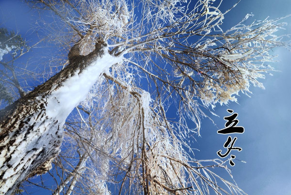 立冬和冬***什么区别立冬和冬***是***吗立冬和冬***什么意思 第2张