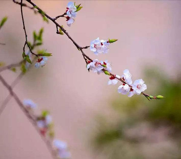 立春有什么讲究吗立春有什么忌讳吗  第2张