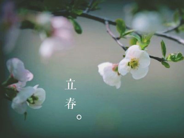 立春当天吃什么传统食物立春有什么传统食物  第2张