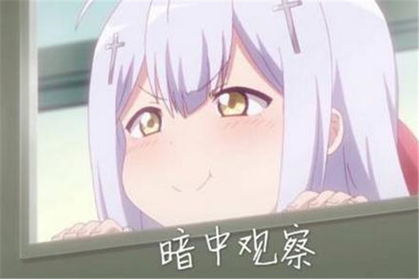 私生饭是什么意思（私生饭究竟是什么）  
