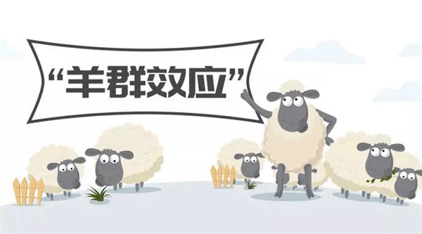 羊群效应（羊群效应是指什么）  
